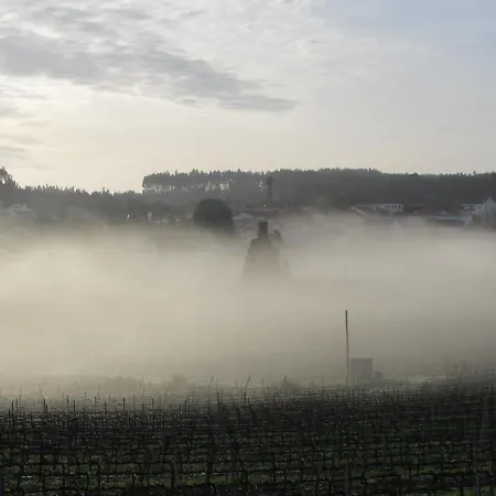 Quinta Sobral Prestige - Rustic House *