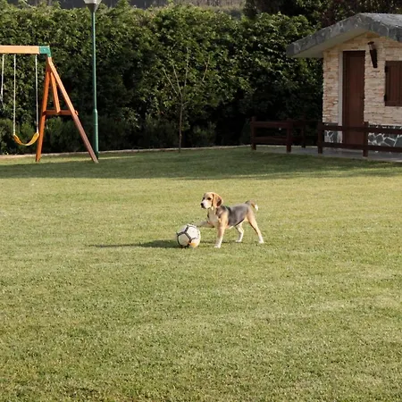 Quinta Sobral Prestige - Rustic House * Собрал-ди-Монти-Аграсу