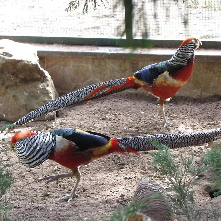 Quinta Sobral Prestige - Rustic House Собрал-ди-Монти-Аграсу