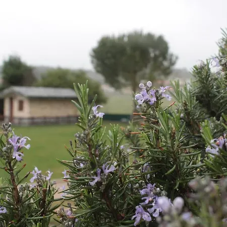 Quinta Sobral Prestige - Rustic House بيت للعطل