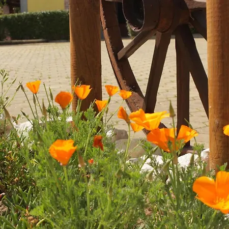 بيت للعطل Quinta Sobral Prestige - Rustic House *