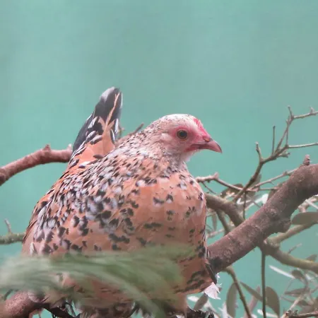 Quinta Sobral Prestige - Rustic House Собрал-ди-Монти-Аграсу