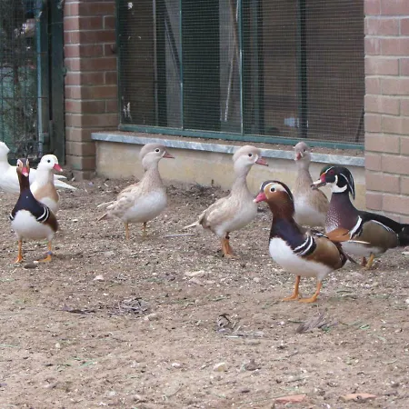 Дом отдыха Quinta Sobral Prestige - Rustic House Собрал-ди-Монти-Аграсу