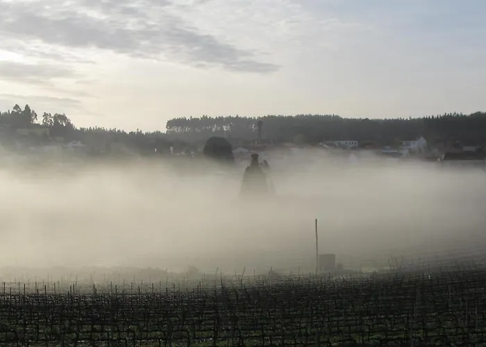 Quinta Sobral Prestige - Rustic House *