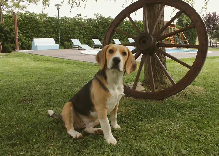 Quinta Sobral Prestige - Rustic House *