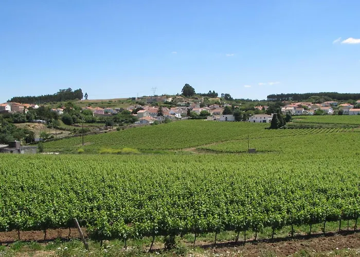 Quinta Sobral Prestige - Rustic House