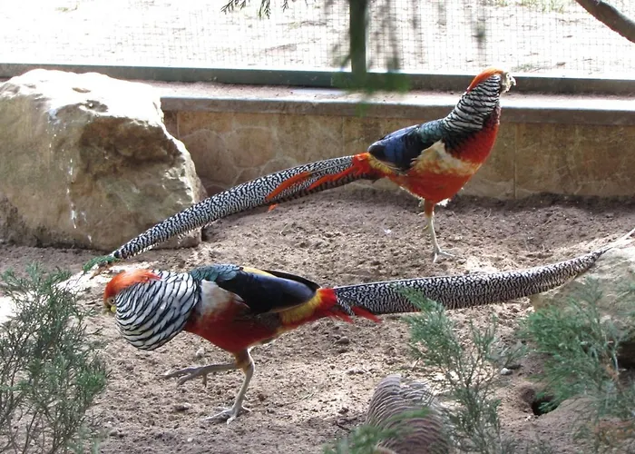 Quinta Sobral Prestige - Rustic House Sobral de Monte Agraço