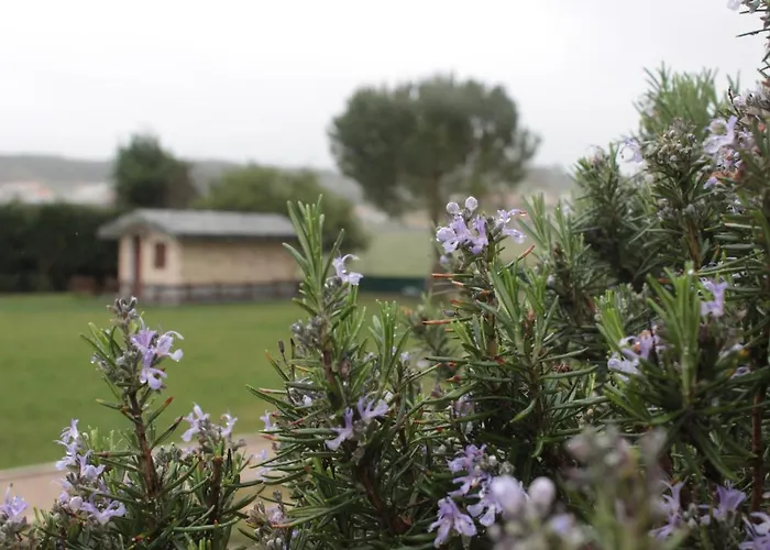 Quinta Sobral Prestige - Rustic House Сasa de vacaciones