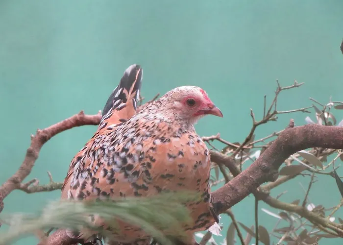 Quinta Sobral Prestige - Rustic House Sobral de Monte Agraço