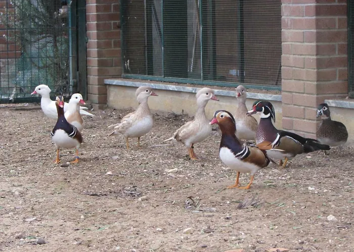 Сasa de vacaciones Quinta Sobral Prestige - Rustic House Sobral de Monte Agraço